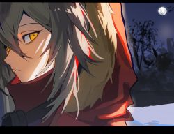 Rule 34 | 1girl, absurdres, arknights, brown hair, chinese commentary, coat, commentary request, dubianchuan, from side, full moon, fur-trimmed hood, fur trim, hair between eyes, highres, hood, hood up, hooded coat, letterboxed, looking at viewer, looking to the side, moon, night, night sky, parted lips, portrait, projekt red (arknights), purple eyes, red coat, short hair, sky, solo, yellow eyes