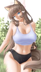 Rule 34 | :3, absurdres, animal ear fluff, animal ears, bare shoulders, blue eyes, bow, breasts, brown hair, brown tail, bush, cat ears, cat girl, cleavage, fluffy, grass, green eyes, hair ornament, highres, large breasts, long hair, looking at viewer, midriff, multicolored eyes, navel, on ground, outdoors, raised eyebrows, ribbon, short shorts, shorts, side bangs, simple background, sitting, smile, tail, takie, takie arts, tank top, thick thighs, thighs, very long hair