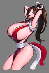 Rule 34 | 1girl, absurdres, armpits, arms behind head, arms up, breasts, brown eyes, brown hair, cleavage, highres, huge breasts, long hair, open mouth, ponytail, shiranui mai, sideboob, smile, solo, the king of fighters, wolffeld price