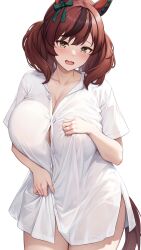 Rule 34 | 1girl, alternate breast size, alternate costume, animal ears, blush, bow, breasts, brown hair, button gap, collared shirt, commentary request, cowboy shot, ear covers, hair between eyes, highres, horse ears, horse girl, horse tail, kannko bokujou, large breasts, long hair, long sleeves, looking at viewer, multicolored hair, multiple girls, naked shirt, nice nature (umamusume), open mouth, shirt, simple background, smile, solo, tail, umamusume, white background, white shirt