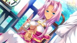 Rule 34 | 1boy, 1girl, blue eyes, breasts, center opening, chair, cleavage, cup, dress, facial mark, forehead mark, game cg, hair intakes, hikage eiji, hongou kazuto, koihime musou, navel, outdoors, pink hair, plant, red dress, shirt, short hair, sitting, sky, smile, sonken, table, teacup, thighhighs, tree, white shirt, white thighhighs