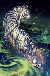 Rule 34 | animal, closed mouth, commentary, english commentary, from behind, green eyes, highres, looking away, looking to the side, no humans, original, tiger, wading, water, watermark, web address, white tiger, yuumei