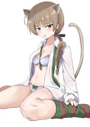 1girl 8sjqzhap4pupzkc absurdres animal_ears bra braid breasts brown_hair cat_ears cat_girl cat_tail green_necktie highres long_hair looking_at_viewer lynette_bishop medium_breasts necktie open_mouth panties shirt simple_background sitting solo strike_witches striped_clothes striped_thighhighs tail thighhighs underwear white_background white_bra white_panties white_shirt world_witches_series