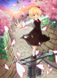 Rule 34 | 1girl, balancing, black dress, blonde hair, cherry blossoms, cloud, dress, dutch angle, female focus, hair ribbon, highres, mary janes, outstretched arms, pavement, perspective, petals, plant, red eyes, ribbon, road, rumia, shoes, solo, spread arms, street, sunset, touhou, tree, ue, utility pole, vanishing point, vines, wall, white legwear