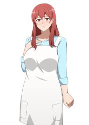 Rule 34 | 1girl, apron, blue shirt, blush, breasts, closed mouth, commentary request, crossed bangs, hall onon, hand on own chest, large breasts, long hair, looking at viewer, mature female, original, red eyes, red hair, shirt, sleeves rolled up, smile, standing, white apron, white background