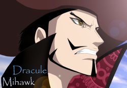 Rule 34 | 1boy, animal eyes, black hair, blue sky, character name, clenched teeth, dracule mihawk, facial hair, hat, lining, male focus, one piece, outdoors, popped collar, sky, solo, teeth, yellow eyes