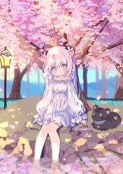 Rule 34 | 1girl, animal, animal ears, artist name, bare shoulders, cat, closed mouth, collarbone, day, dress, grey eyes, highres, lamppost, long hair, long sleeves, mechuragi, off-shoulder dress, off shoulder, original, outdoors, puffy long sleeves, puffy sleeves, signature, sitting, sleeves past wrists, smile, soaking feet, solo, tiger ears, tree, very long hair, water, white dress, white hair