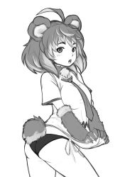 Rule 34 | 1girl, ahoge, animal ears, animal hands, ass, bear ears, bear tail, borrowed character, claws, cowboy shot, fur collar, greyscale, grizzly (monster girl encyclopedia), looking at viewer, maritan (pixelmaritan), monochrome, monster girl encyclopedia, necktie, panties, parted lips, shirt, short sleeves, side-tie panties, simple background, solo, standing, tail, underwear, white background