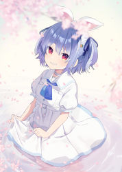 Rule 34 | 1girl, absurdres, alternate hairstyle, blue hair, blue neckerchief, blue ribbon, blurry, blurry foreground, branch, breast pocket, cherry blossoms, choker, clothes lift, commentary, dress, earrings, falling petals, grin, hair between eyes, hair ribbon, hairband, highres, hikimayu, hololive, jewelry, lifting own clothes, looking at viewer, looking up, multicolored hair, nabeniuitagomi, neckerchief, partially submerged, petals, petals on liquid, pocket, red eyes, ribbon, short eyebrows, short hair, skirt, skirt lift, smile, solo, streaked hair, thick eyebrows, two side up, usada pekora, usada pekora (casual), virtual youtuber, wading, water, white choker, white dress, white hair, white hairband