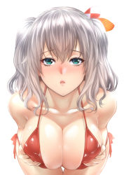 Rule 34 | 10s, 1girl, aqua eyes, bad id, bad pixiv id, bare shoulders, bent over, bikini, blush, breast hold, breasts, cleavage, collarbone, kantai collection, kashima (kancolle), large breasts, nose blush, parted lips, red bikini, silver hair, simple background, solo, swimsuit, thigh gap, twintails, white background, zucchini