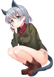 Rule 34 | 1girl, absurdres, animal ears, bad id, bad pixiv id, boots, bottomless, cat ears, cat tail, green eyes, hand on own cheek, hand on own face, highres, lucha tongxie, military, military uniform, panties, red shirt, sanya v. litvyak, shirt, short hair, side-tie panties, silver hair, smile, solo, squatting, strike witches, tail, underwear, uniform, world witches series