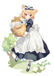 Rule 34 | 1girl, animal ear fluff, animal ears, apron, basket, black bow, black dress, black footwear, blonde hair, bow, cat ears, commentary request, dress, fang, frilled apron, frills, full body, hair between eyes, hair bow, highres, holding, holding basket, juliet sleeves, long sleeves, looking at viewer, maid, original, pantyhose, parted lips, puffy sleeves, red eyes, sakuro, shoes, short hair, solo, stuffed animal, stuffed toy, teddy bear, tree, white apron, white background, white pantyhose