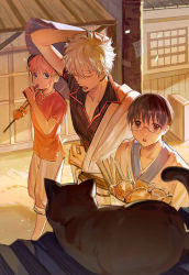 Rule 34 | 1girl, 2boys, absurdres, black cat, black hair, blue eyes, cat, chinese clothes, chinese commentary, closed eyes, collared shirt, commentary request, eating, food, gintama, glasses, hand in own hair, highres, holding, holding food, holding umbrella, japanese clothes, kagura (gintama), kimono, looking at another, looking at viewer, multiple boys, oil-paper umbrella, open mouth, orange hair, outdoors, purple umbrella, qing yu, red eyes, sakata gintoki, shimura shinpachi, shirt, short hair, short sleeves, umbrella, walking, white kimono