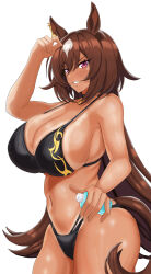 Rule 34 | 1girl, absurdres, alternate costume, animal ears, bare shoulders, bikini, black bikini, bottle, breasts, brown hair, commentary request, cowboy shot, ear ornament, grin, hair between eyes, highres, holding, holding bottle, horse ears, horse girl, horse tail, large breasts, long hair, looking at viewer, multicolored hair, red eyes, revealing clothes, simple background, sirius symboli (umamusume), sky, smile, solo, streaked hair, swimsuit, tail, tan, tessa (uma orfevre), umamusume, very long hair, white background, white hair