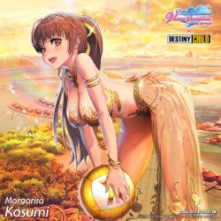 Rule 34 | 1girl, arabian clothes, breasts, dead or alive, destiny child, harem outfit, kasumi (doa), large breasts, long hair, ponytail, see-through, see-through skirt, skirt, tagme, transparent
