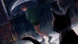 Rule 34 | 1girl, animal, black cat, cat, diva (hyxpk), dutch angle, highres, loafers, looking at another, night, original, rain, shoes, short hair, shorts, umbrella, walking