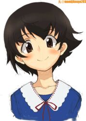 Rule 34 | 1girl, artist name, blue dress, brown eyes, brown hair, closed mouth, collared dress, commentary, cropped torso, dress, girls und panzer, kayabakoro, looking at viewer, nakajima (girls und panzer), neck ribbon, portrait, red ribbon, ribbon, short hair, simple background, smile, solo, twitter username, white background