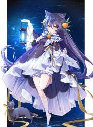 Rule 34 | 1girl, animal ear fluff, animal ears, blue hair, bug, buruma, butterfly, cat, cat ears, cat girl, clothes lift, commentary request, dress, dress lift, hair between eyes, hair ornament, highres, insect, lamp, long hair, looking at viewer, night, solo, very long hair, yellow eyes, yuya (night lily)
