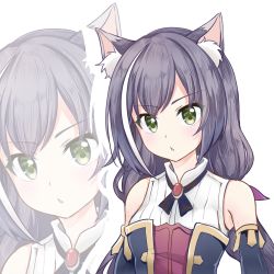 Rule 34 | 1girl, animal ear fluff, animal ears, bare shoulders, black hair, black sleeves, breasts, cat ears, commentary request, detached sleeves, green eyes, hair ribbon, karyl (princess connect!), kiri sakura, long hair, looking at viewer, low twintails, multicolored hair, parted lips, princess connect!, purple ribbon, ribbon, shirt, simple background, sleeveless, sleeveless shirt, small breasts, solo, streaked hair, twintails, upper body, v-shaped eyebrows, white background, white hair, white shirt, zoom layer