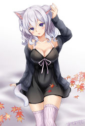 Rule 34 | 10s, 1girl, animal ears, artist name, autumn leaves, bad id, bad pixiv id, bare shoulders, black dress, blue eyes, blush, breasts, cardigan, cat ears, cat girl, cat tail, cleavage, collarbone, dress, female focus, gradient background, highres, kantai collection, kashima (kancolle), kemonomimi mode, long hair, long sleeves, looking at viewer, medium breasts, nail polish, no headwear, off shoulder, omoomomo, open cardigan, open clothes, parted lips, pink nails, pink thighhighs, plant, signature, silver hair, sleeveless, sleeveless dress, solo, striped clothes, striped thighhighs, tail, thighhighs, vertical-striped clothes, vertical-striped thighhighs, wavy hair, white background, zettai ryouiki