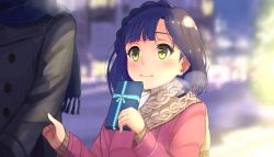 Rule 34 | 10s, 1girl, 3:, akame (akamiru), bad id, bad pixiv id, blue hair, blue scarf, blurry, blush, bokeh, bow, box, braid, buttons, closed mouth, coat, depth of field, envelope, eyebrows, fringe trim, gift, gift box, height difference, highres, holding, holding gift, idolmaster, idolmaster million live!, letter, long sleeves, looking at another, nanao yuriko, out of frame, pulling, ribbed sweater, ribbon, scarf, short hair, solo focus, sweater, tree, upper body, valentine, winter, winter clothes, yellow eyes