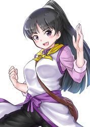 Rule 34 | 10s, 1girl, :d, black hair, blush, breasts, fighter (goblin slayer!), fighting stance, goblin slayer!, long hair, looking at viewer, medium breasts, open mouth, pants, ponytail, purple eyes, simple background, smile, solo, white background, zawa nong
