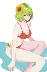 Rule 34 | 1girl, armpits, bikini, breasts, cleavage, closed mouth, feet out of frame, flower, frilled bikini, frills, green hair, hair between eyes, hair flower, hair ornament, kazami yuuka, large breasts, legs, plaid, plaid bikini, red bikini, red eyes, short hair, simple background, smile, solo, sunflower, swimsuit, tohoyuukarin, touhou, white background