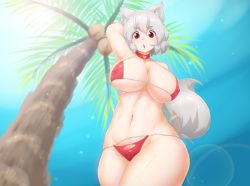 Rule 34 | 1girl, animal ears, arm up, armpits, bare shoulders, bikini, blue sky, blush, breasts, cleavage, collar, curvy, day, covered erect nipples, eyebrows, highres, inubashiri momiji, large breasts, looking at viewer, navel, open mouth, palm tree, red eyes, short hair, silver hair, sky, solo, swimsuit, tail, thick eyebrows, thighs, tochinoko, touhou, tree, wide hips, wolf ears, wolf tail