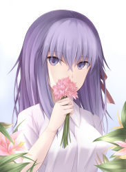 Rule 34 | 1girl, bad id, bad pixiv id, covered mouth, fate/stay night, fate (series), flower, flower over mouth, hair between eyes, hair ribbon, holding, holding flower, kanpyou (hghgkenfany), long hair, looking at viewer, matou sakura, official alternate costume, pink flower, purple eyes, purple hair, red ribbon, ribbon, shirt, solo, upper body, white background, white shirt