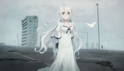 Rule 34 | 1girl, arms behind back, bare tree, blue bow, bow, braid, breasts, bug, building, butterfly, capelet, car, cleavage, closed mouth, cloud, cloudy sky, commentary request, dress, grey eyes, hair between eyes, insect, juliet sleeves, lamppost, long hair, long sleeves, looking at viewer, medium breasts, motor vehicle, original, outdoors, overcast, puffy sleeves, road, sakanaoishiiumauma, scenery, side braid, sign, silver hair, single braid, sky, smile, solo, tree, very long hair, white capelet, white dress