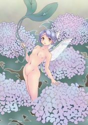Rule 34 | 1girl, :o, breasts, fairy, fairy wings, floral background, flower, hydrangea, looking at viewer, mini person, minigirl, namekuji, navel, nipples, nude, original, oversized object, purple hair, short hair, small breasts, solo, wings, yellow eyes