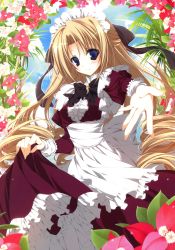 Rule 34 | 1girl, absurdres, black bow, black bowtie, blonde hair, blue eyes, bow, bowtie, center frills, cowboy shot, day, dress, drill hair, flower, frills, half updo, highres, inugami kira, long hair, long sleeves, maid, maid headdress, outstretched arm, solo, sophia marfil, tanto cuore, very long hair
