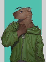 Rule 34 | 1boy, absurdres, ahoge, animal ears, arumao (capybaraarumao), blue eyes, capybara boy, capybara ears, chinese commentary, clothes grab, commentary request, furry, furry male, green jacket, highres, hood, hooded jacket, indie virtual youtuber, jacket, jacket grab, looking at viewer, male focus, oversized zipper, profile, sweatdrop, ty arashi
