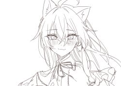 Rule 34 | 1girl, ahoge, animal ear fluff, animal ears, blush, cat ears, cat tail, closed mouth, collared shirt, commentary request, fang, floating hair, frills, greyscale, hair between eyes, highres, kashikaze, kemonomimi mode, long hair, looking at viewer, monochrome, neck ribbon, nijisanji, official alternate costume, ribbon, shirt, shishido akari, shishido akari (casual), simple background, sketch, skin fang, solo, tail, upper body, virtual youtuber, white background