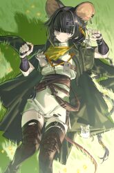 Rule 34 | 1girl, animal, animal ears, arknights, armor, black cape, black hair, brown sash, brown thighhighs, cape, character request, closed mouth, commentary request, day, dress, expressionless, feet out of frame, grass, grey eyes, hair ornament, hairclip, highres, holding, holding animal, jewelry, lanyard, lanzi (415460661), lying, mouse (animal), mouse ears, mouse girl, on back, on grass, on ground, outdoors, plant, ring, sash, short dress, solo, strap, thighhighs, torn clothes, torn thighhighs, vambraces, white dress