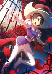 Rule 34 | 1girl, blue eyes, blue shirt, blurry, brown hair, castle, depth of field, flower, gloves, hat, highres, holding, holding sword, holding weapon, leg up, noraico, open mouth, outstretched arm, pantyhose, petals, plant, princess sapphire, puff and slash sleeves, puffy short sleeves, puffy sleeves, rapier, red rose, ribbon no kishi, rose, shirt, shoes, short hair, short sleeves, solo, sword, thorns, vines, weapon, white footwear, white gloves