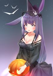 Rule 34 | 1girl, animal ears, arknights, bare shoulders, black bow, black dress, black hat, blush, bow, bra strap, breasts, cleavage, collarbone, commentary, deaver, dress, gradient background, grey background, grey eyes, hair bow, hat, highres, holding, jack-o&#039;-lantern, long hair, long sleeves, looking at viewer, medium breasts, off-shoulder dress, off shoulder, official alternate costume, parted lips, purple background, purple hair, rabbit ears, rope (arknights), rope (imp&#039;s house) (arknights), solo, upper body, witch hat
