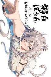Rule 34 | 1girl, absurdres, animal ears, close-up, fang, green eyes, grey hair, highres, hololive, japanese text, lion ears, lion tail, lying, on stomach, rasetsu001, rotated, shishiro botan, solo, tail, virtual youtuber, white background