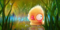 Rule 34 | absurdres, animal, animal focus, bird, blue eyes, blurry, blurry background, bubble, commentary request, duck, duckling, floriannebecker, grass, highres, no humans, original, reflection, reflective water, sparkle, water