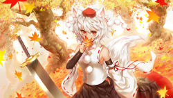 Rule 34 | 1girl, animal ears, autumn, autumn leaves, bad id, bad pixiv id, bobomaster, bridal gauntlets, detached sleeves, hat, highres, inubashiri momiji, leaf, looking at viewer, maple leaf, red eyes, red hat, ribbon-trimmed sleeves, ribbon trim, scenery, short hair, smile, solo, sword, tail, tokin hat, touhou, tree, weapon, white hair, wolf ears, wolf tail
