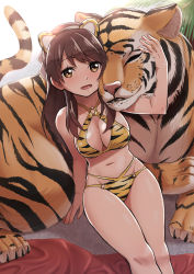 Rule 34 | 1girl, absurdres, animal ears, animal print, bikini, blush, brave witches, breasts, brown eyes, brown hair, chinese zodiac, cleavage, fake animal ears, hasegawa (hase popopo), highres, karibuchi takami, large breasts, long hair, looking at viewer, navel, open mouth, smile, swimsuit, tiger, tiger ears, tiger print, world witches series, year of the tiger