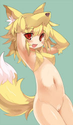 Rule 34 | 1girl, animal ears, bad id, bad nijie id, blonde hair, blush, bottomless, breasts, cleft of venus, elbow gloves, fang, fox ears, gloves, green background, moonlight flower, navel, no panties, open mouth, pussy, ragnarok online, red eyes, short hair, simple background, small breasts, solo, tail, thighhighs, tsudero, uncensored