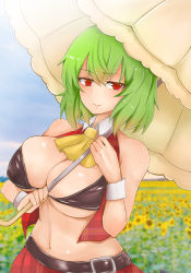 Rule 34 | 1girl, ascot, belt, blurry, blurry background, breasts, cleavage, closed mouth, day, detached collar, field, flower, flower field, green hair, hair between eyes, highres, holding, holding umbrella, horizon, kazami yuuka, large breasts, light smile, navel, open clothes, open vest, outdoors, parasol, plaid, plaid skirt, plaid vest, red eyes, red skirt, red vest, short hair, skirt, skirt set, sky, solo, sunflower, sunflower field, touhou, umbrella, upper body, vest, washiwa, wrist cuffs, yellow ascot, yellow flower