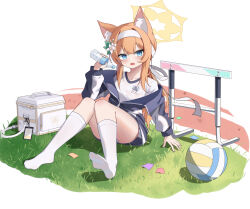 Rule 34 | 1girl, absurdres, animal ear fluff, animal ears, ball, blue archive, blue eyes, blue jacket, blush, bosib, bottle, commentary request, flower, fox ears, hair flower, hair ornament, hairband, halo, highres, holding, holding bottle, jacket, kneehighs, long hair, long sleeves, looking at viewer, low ponytail, mari (blue archive), mari (track) (blue archive), no shoes, official alternate costume, on grass, orange hair, partially unzipped, ponytail, reclining, shirt, socks, volleyball (object), water bottle, wet, wet clothes, wet shirt, white bag, white hairband, white shirt, white socks, yellow halo