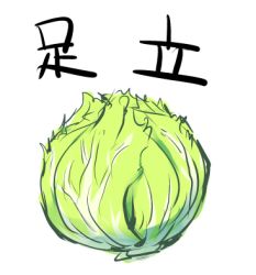 Rule 34 | cabbage, food, food focus, green theme, kanji, lowres, no humans, persona, persona 4, simple background, still life, translation request, vegetable, white background, yoshian