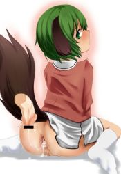 Rule 34 | 1girl, aftersex, anal, animal ears, anus, ass, blush, bottomless, cum, cum in ass, dog ears, from behind, gaping, green eyes, green hair, kasodani kyouko, looking back, penis, pussy, short hair, sitting, smile, socks, spread anus, tail, touhou, wariza