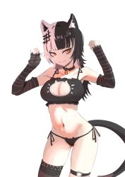 Rule 34 | 1girl, angelchama, animal ears, black arm warmers, black collar, black hair, black nails, black panties, black thighhighs, breasts, cat cutout, cat ears, cat lingerie, cat tail, cleavage, cleavage cutout, clothing cutout, collar, grey hair, highres, hololive, hololive english, large breasts, long hair, looking at viewer, meme attire, multicolored hair, o-ring, o-ring thigh strap, panties, paw pose, shiori novella, side-tie panties, single thighhigh, smile, solo, split-color hair, tail, thigh strap, thighhighs, underwear, virtual youtuber, white background, yellow eyes