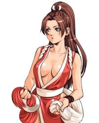 Rule 34 | 1girl, breasts, brown eyes, brown hair, cleavage, fatal fury, large breasts, long hair, lowres, nakano tomokazu, no bra, pelvic curtain, ponytail, rope, shiranui mai, sideboob, snk, solo, the king of fighters, wristband
