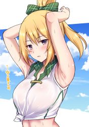 Rule 34 | 1girl, absurdres, armpits, arms up, bare shoulders, blonde hair, blue sky, blush, bow, breasts, chloe (princess connect!), chloe (school festival) (princess connect!), cloud, collared shirt, commentary request, green background, hair between eyes, hair bow, high ponytail, highres, looking at viewer, medium breasts, midriff, official alternate costume, parted lips, plaid, plaid bow, pointy ears, presenting armpit, princess connect!, purple eyes, see-through, shirt, sidelocks, sky, sleeveless, sleeveless shirt, solo, standing, sweat, tied shirt, translated, upper body, wet, wet clothes, wet shirt, white shirt, yue (show-ei)