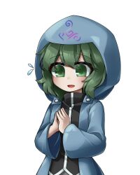 Rule 34 | 1other, androgynous, black shirt, blue coat, coat, commentary request, eyes visible through hair, flying sweatdrops, green eyes, green hair, hood, hood up, hooded coat, len&#039;en, long sleeves, open clothes, open coat, open mouth, other focus, own hands together, shirt, shitodo aoji, short hair, simple background, smile, solo, upper body, websci 3357, white background